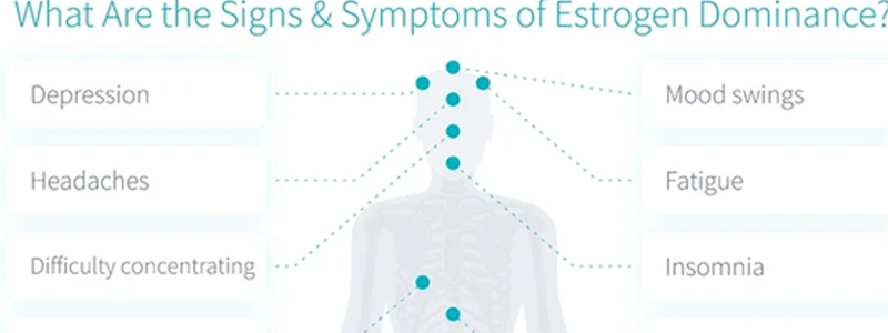 Infographic about Oestrogen